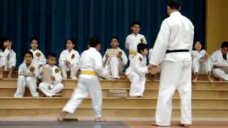 preview picture of video 'Austin Karate for Kids - Demonstration at Blazier Elementary - Board Breaking 2.mpg'