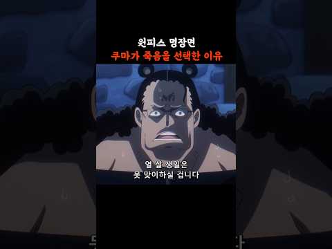 (원피스 명장면) 쿠마가 죽음을 선택한 이유