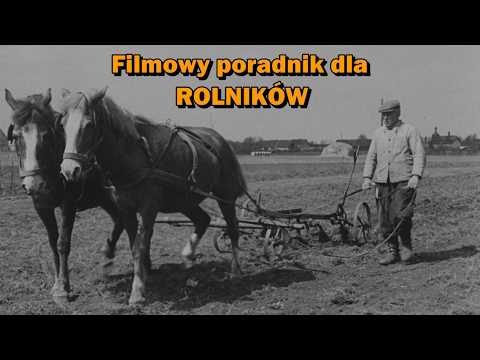"Dziadek" (1959) /CAŁY FILM/