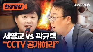 국정조사 청문회서 서영교·곽규택 맞붙었다 [현장영상] / 채널A
