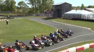 Briggs &amp; Stratton Show #2  (ECKC RD1 GWK)