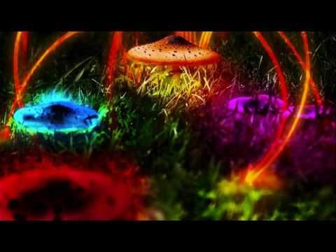 Kliment L - Astralis (Progressive Psytrance 2017) ᴴᴰ