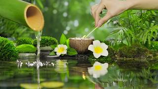 Música relajante con sonidos de agua para meditar - Fuente de agua de bambú para sanar y dormir