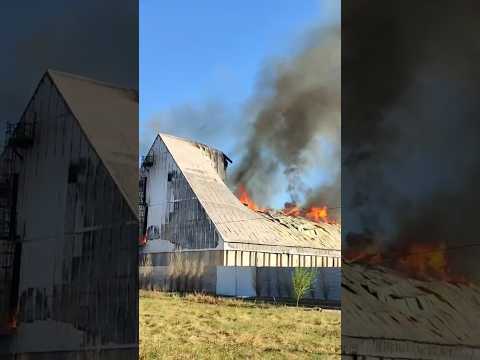 URGENTE Continúa el INCENDIO EN ADECO AGRO Dalmacio Vélez #noticia #incendio #cordoba