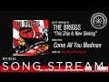 The Briggs - This Ship is Now Sinking (Official Audio)