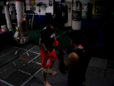 8 SYSTEM MMA SPEED 002.mov