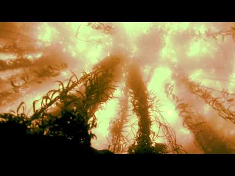 Terraformador のサムネイル