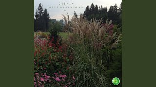 Tiresias (Original Mix)