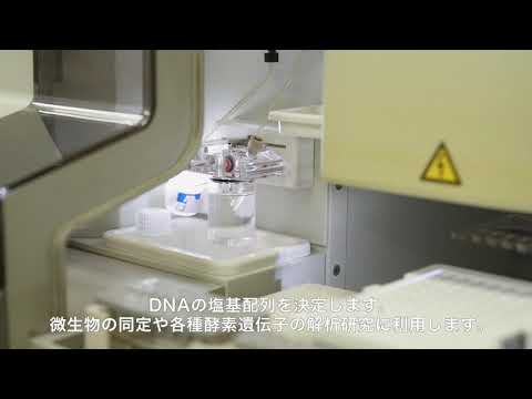 ジェネティックアナライザー／食品生命科学科