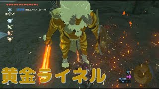 【ゼルダの伝説 BotW】黄金ライネル 闘技場 マスターモード