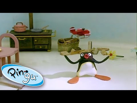 Pingu Loses His Plane! | Pingu Official | Cartoons for Kids - Kids (0-4), Kingdom Kids Zone - Pingu - Official Channel