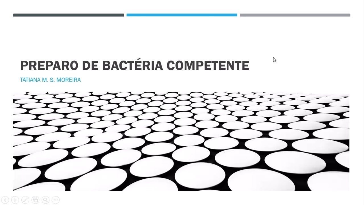 Preparo de bactéria competente