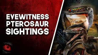 REIGN OF THE PTEROSAUR - SIGHTINGS OF LIVING PTEROSAURS - What Lurks Beneath