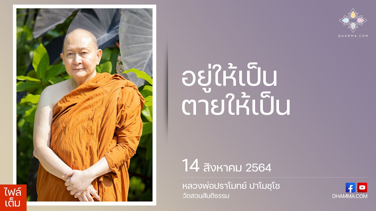 รูปภาพ ดาวโหลด Google Youtube SEO