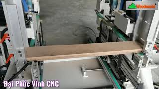 Máy cắt, khoan 2 chiều Woodmaster | Máy khoan làm học kéo đóng chốt gỗ WM-200CD2X