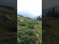 Tundra