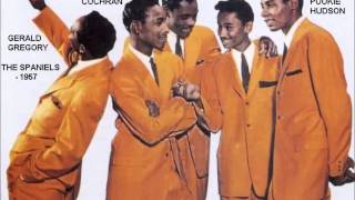 Spaniels- A Lovely Way To Spend An Evening - VJLP-1002 - 1957 / Jessie Mae -VeeJay Unreleased -1956