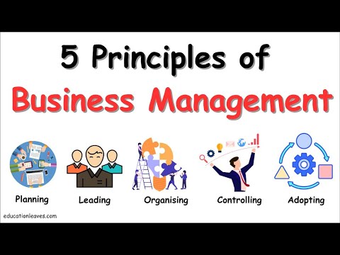 Top 5 Principles of Business Management Explained Simply #managementprinciples