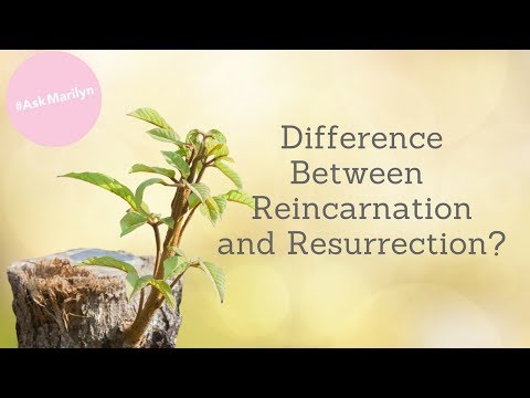 What's the difference between Reincarnation and Resurrection?