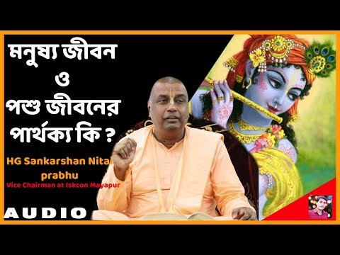 মানুষ জীবন এবং পশু জীবনের মধ্যে পাথক্য কি | HG Sankarshan Nitai Das Vice Chairman at Iskcon Mayapur