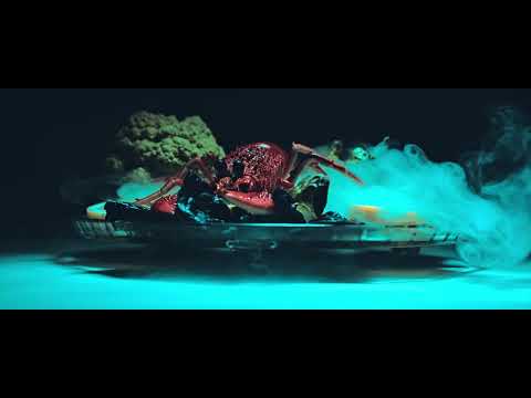 nøsq  - The Realest (Visualiser)