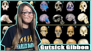 Video: Fossil Evidence for Early Man evolving from Apes - Gutsick Gibbon