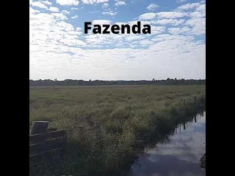 234  Hectàreas - Zona Ciudad de Carayao - Paraguay