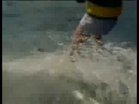 Fonzie Jumps the Shark