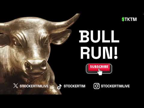 The Bull Market is Back! Where should You Put Your Money