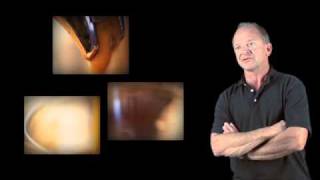 Roast House Coffee &#39;Rides the Edge &amp; Takes the High Road&#39;.mov