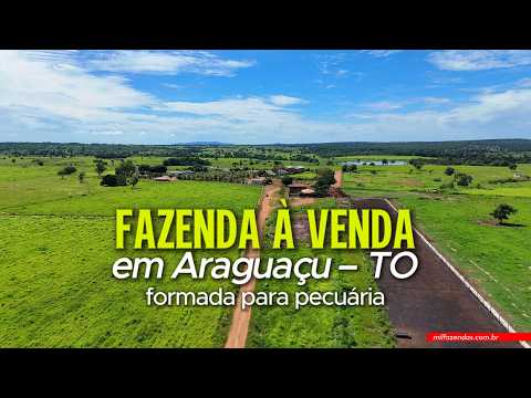 Fazenda de R$ 75 milhões à venda em Araguaçu – TO | 421 alqueires (2.037 ha.) #fazendaavenda #agro