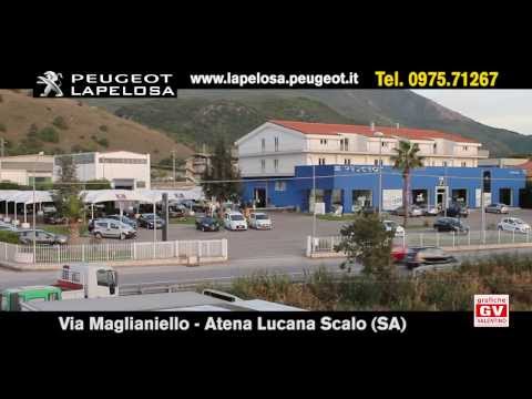 spot 208 Peugeot Lapelosa