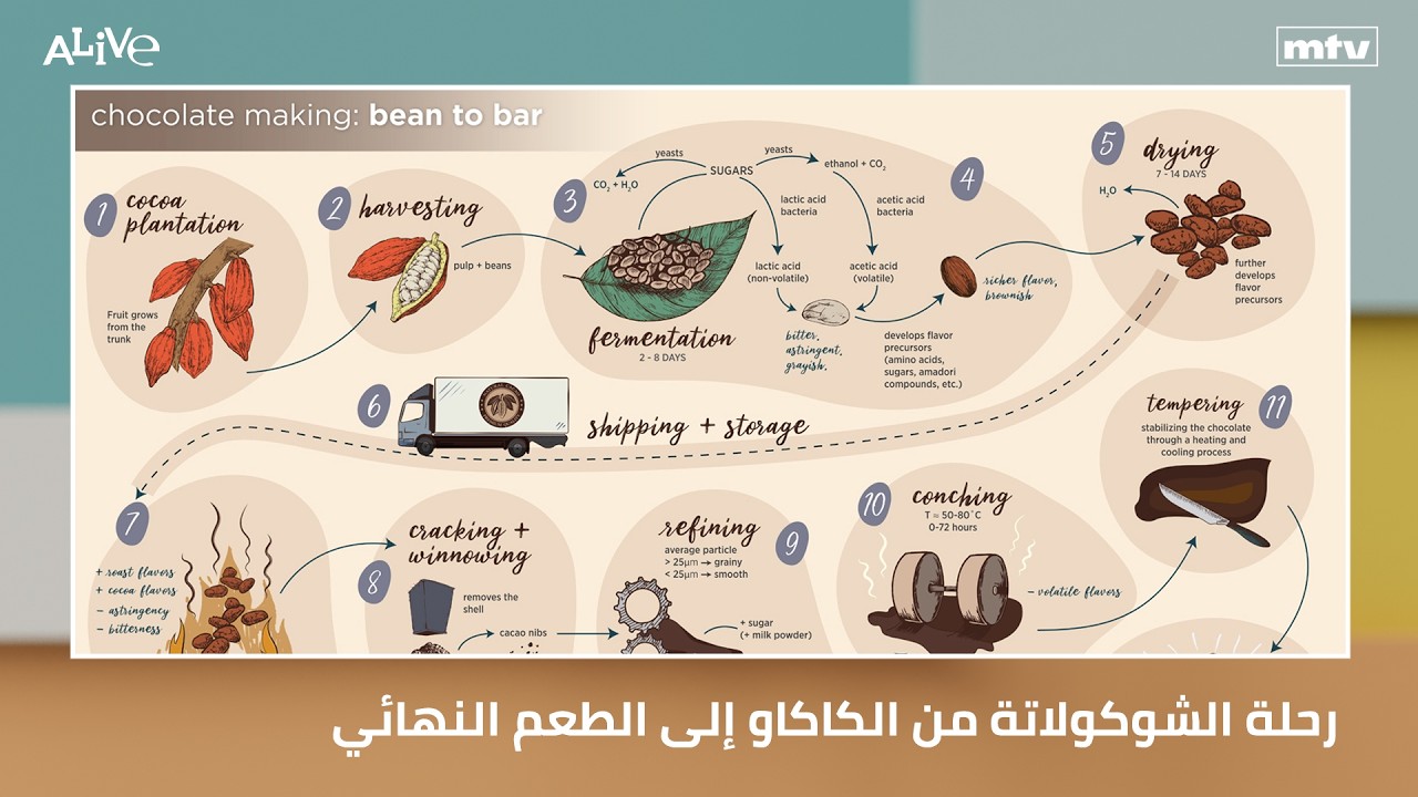 رحلة الشوكولاتة من الكاكاو إلى الطعم النهائي