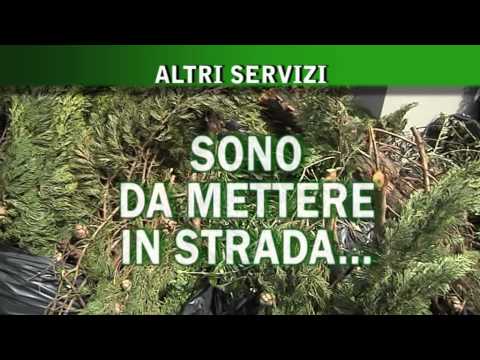 Guida ai servizi di ASM SPA