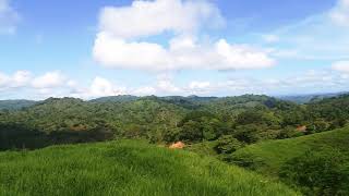 preview picture of video 'Finca Ganadera en Veladero de Tole  #Chiriqui #Panama'