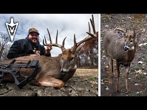 First Iowa Bow Buck, The Best Rut Funnels | Midwest Whitetail