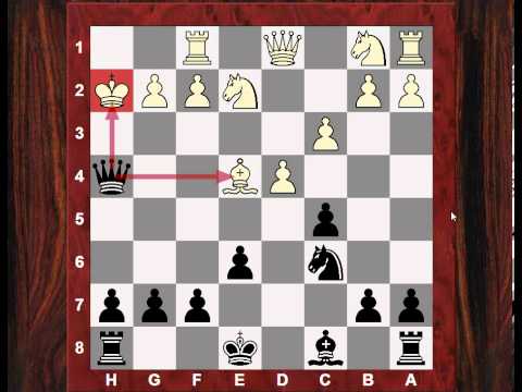 Chess World.net Instructive Game: How moves are put under great "scrutiny" in longer games!