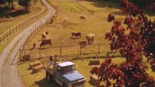 Clark and Lana - You by Binocular