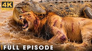 Download lagu The Most Dangerous Predators of the Wild | FULL EPISODE | Wildlife Documentary mp3 Download lagu The Most Dangerous Predators of the Wild | FULL EPISODE | Wildlife Documentary mp3
