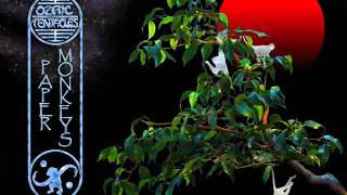 Ozric Tentacles - Live jam session from paper monkeys interview