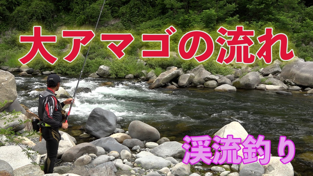 渓流釣り 大アマゴの流れ