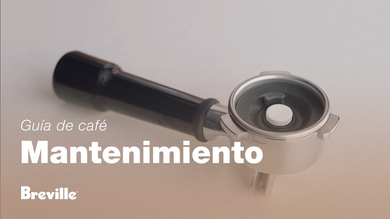 Cómo realizar una descalcificación