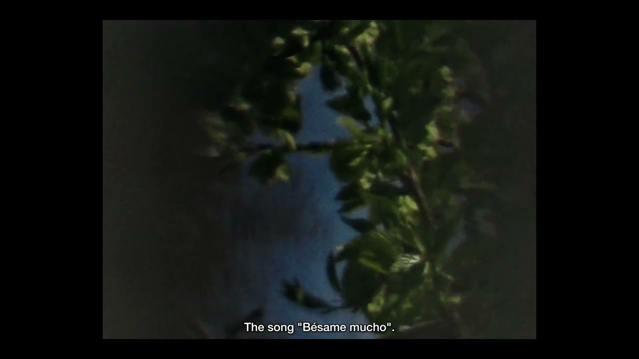 'Els buits', Trailer