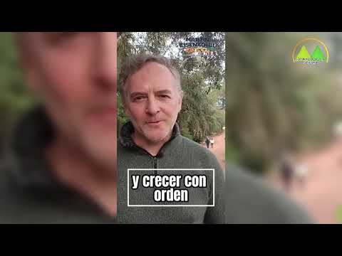 Colonias Radio Y Tv Hohenau Itapua