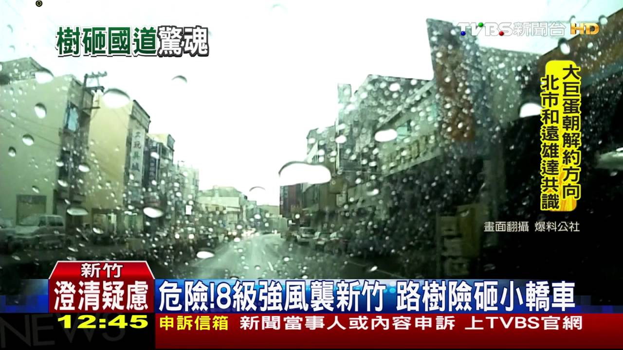 狂風暴雨!國道路樹砸落 轎車蛇行躲避