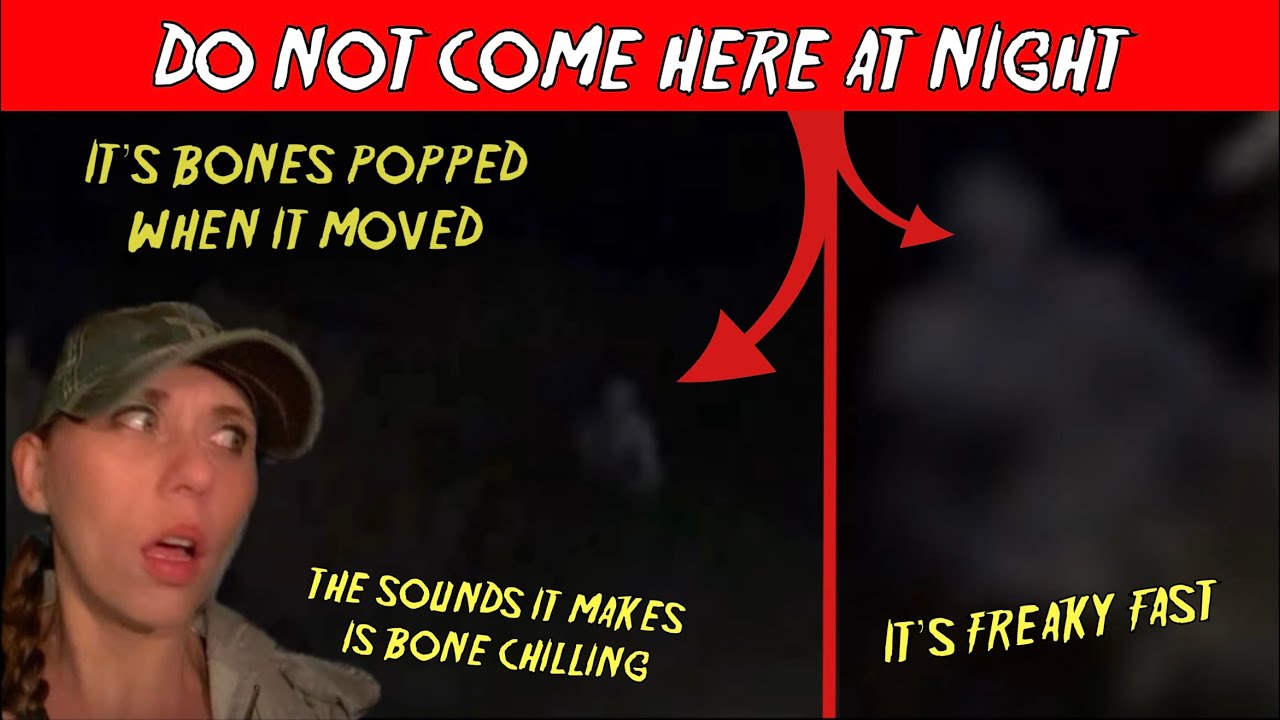 (IT STLAKS ) CRAWLER FOLLOWS ITS VICTIMS AND WILL SHRED THEM