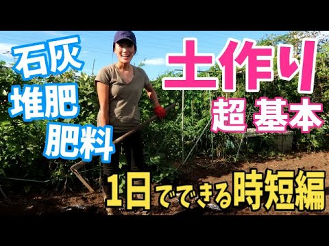 粘土質の土壌に植える果樹はどれですか?いつ、どのように植えるのですか？  庭園