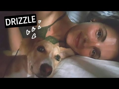 The story of DRIZZLE 🐶