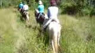 preview picture of video 'Horse Riding,Pantanal,Brasil'