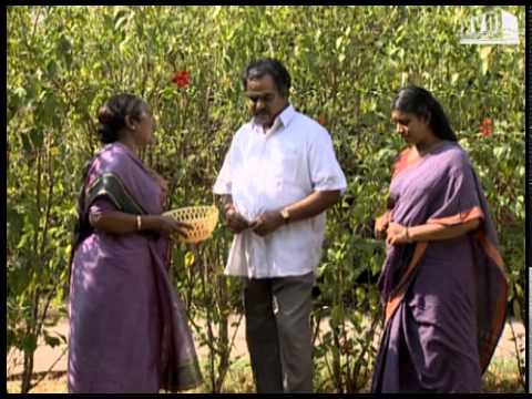 Episode 31: Akila Telugu TV Serial - AVM Productions